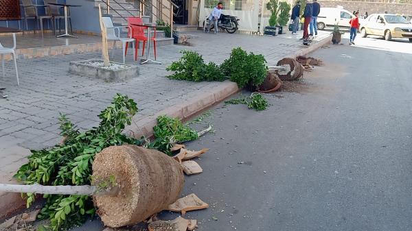 سكان عمارة بشارع علال الفاسي بمراكش يشتكون...