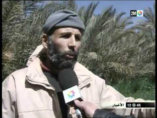 الفلاحة بالجهة الشرقية