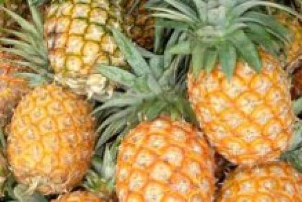 ضبط كمية كبيرة من الأناناس الفاسد و التحقيق جار لكشف المتورطين