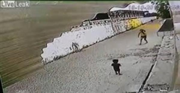 بالفيديو.. لص يهاجم امرأة ويسرق هاتفها بالقوة