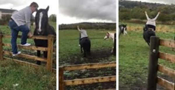 بالفيديو.. حصان يلقن شابا مخمورا حاول الركوب على ظهره درسا قاسيا