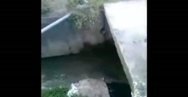 بالفيديو.. شاب حاول الاستعراض أمام زملائه فسقط داخل مصرف