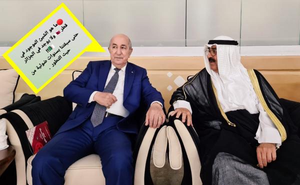 أخيرا "عاقو".. مونديال "قطر" يوقظ "الجزائريين" من سباتهم العميق.. أين الثروة؟