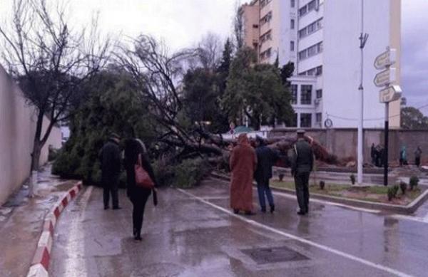 الصورة تعبيرية فقط