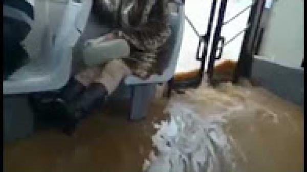 طوبيس مغربي أصبح أشبه ب "بيسين"