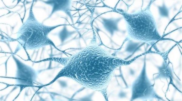 مبادرة لرسم أطلس ضخم يضم كل خلايا جسم الإنسان