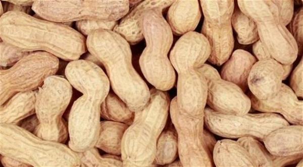 لماذا يعاني البعض من حساسية تجاه الفول السوداني؟