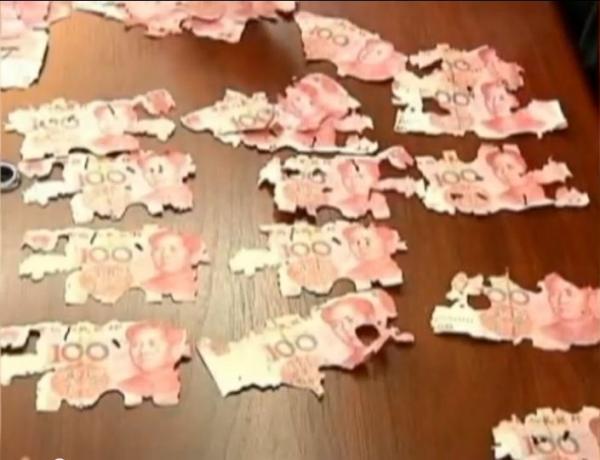 بالفيديو ...نمل يحول ثروة سيدة صينية إلى فتات