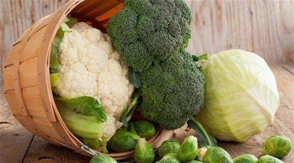 أطعمة تقلل آثار العلاج الكيماوي بعد سرطان الثدي