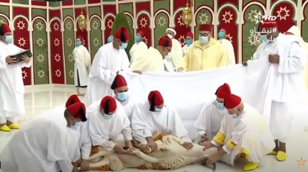 أمير المؤمنين  يؤدي صلاة عيد الأضحى المبارك وينحر أضحية العيد