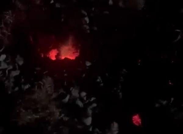 صورة حقيقية