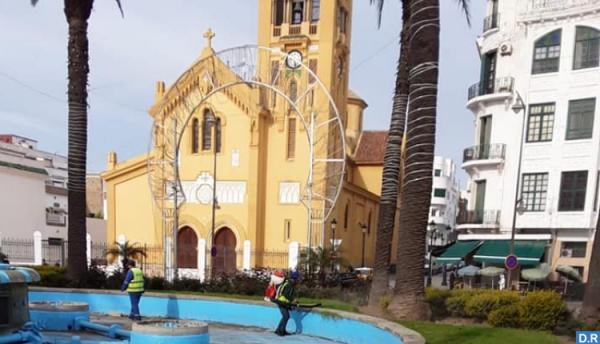 أزيد من 340 تدخلا لتخليص ساكنة تطوان من البعوض