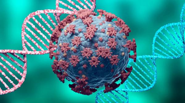 الصحة العالمية: تراجع إصابات ووفيات كورونا 10% منذ الأسبوع الماضي