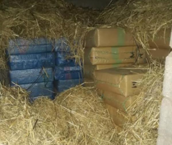 تفاصيل تفكيك شبكة إجرامية للتهريب الدولي للمخدرات بكلميم