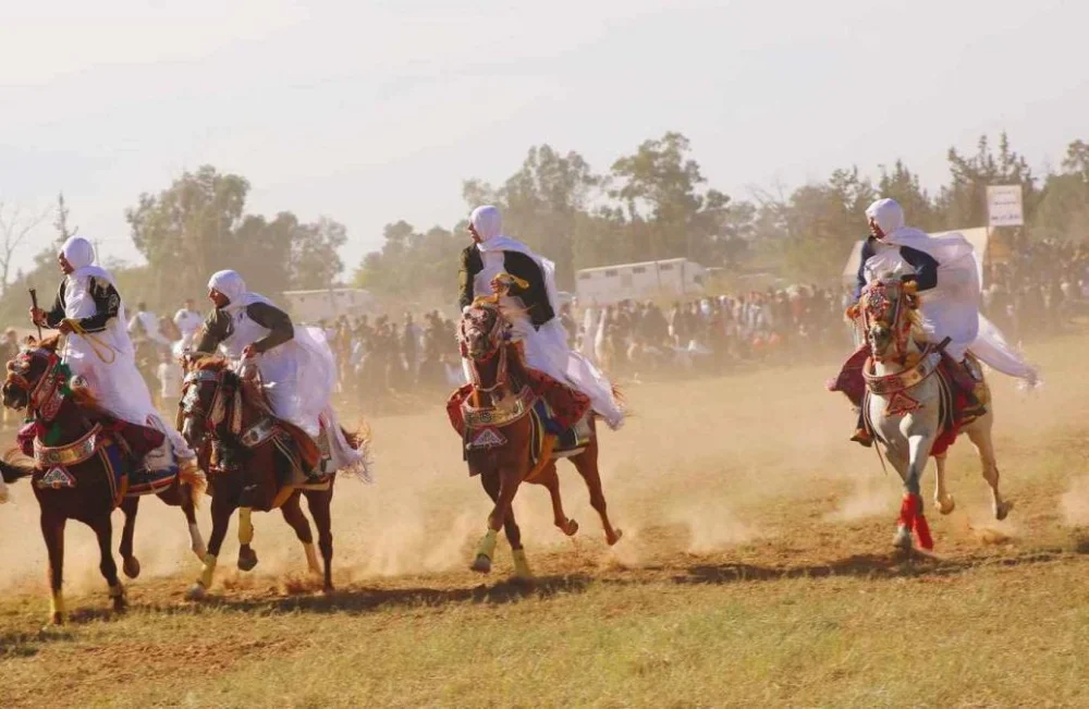 لحظة سقوط وزير داخلية ليبيا من على ظهر حصانه أثناء مهرجان للفروسية