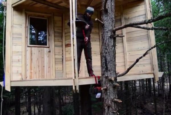 بالفيديو: هل هذه أغرب طريقة لقطع شجرة؟