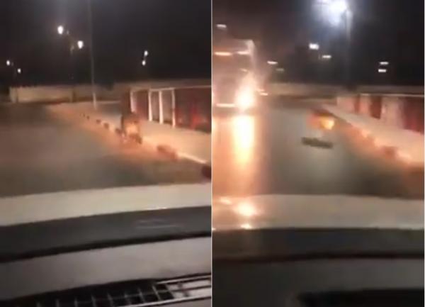 خنزير بري يتجول ليلا وسط مدينة طانطان