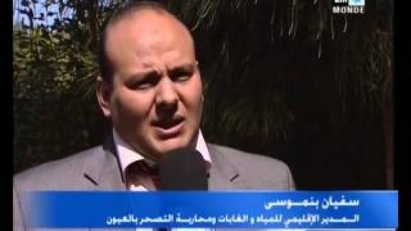 فوائد شجرة الطلح الصحراوية‬‎