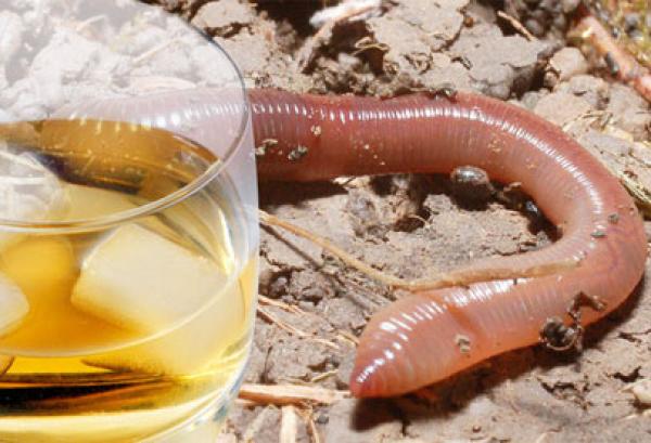 هل تنجح الهندسة الوراثية في القضاء على إدمان الكحول؟