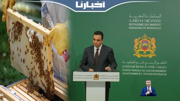 اختفاء خلايا النحل..الحكومة تطلق حملة وطنية لمكافحة داء "الفارواز"