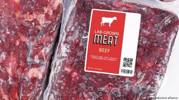 هل اللحوم المزروعة في المختبر "نباتية"؟