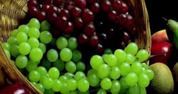 بذور العنب تكافح السرطان