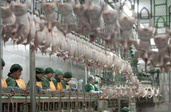 لحوم أوكرانية قريبا على موائد المغاربة