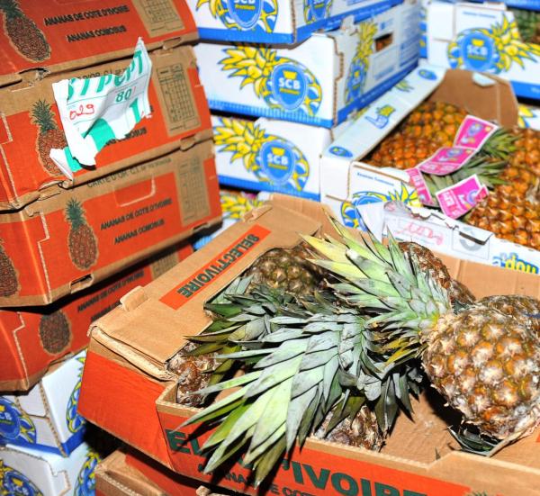 خطير... أمن البيضاء يحجز على 2000 طن من الفواكه الفاسدة كانت موجهة إلى الأسواق المغربية