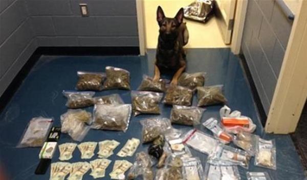 مزارع يعرض "الماريغوانا" للبيع على يوتيوب