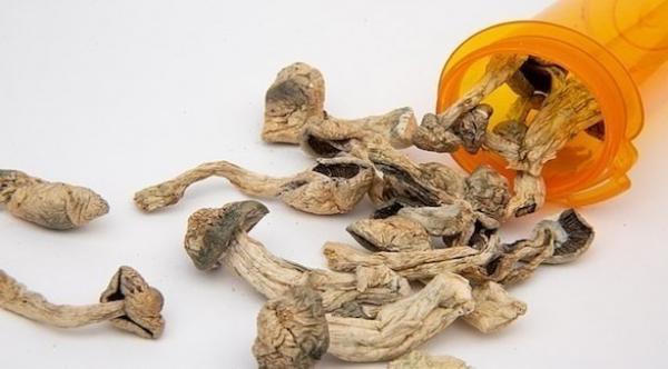 مادة كيميائية داخل الفطر تساعد على علاج الاكتئاب