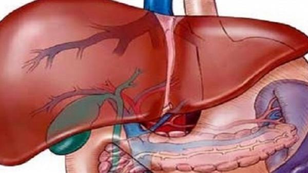 10 أطعمة تنظف المعدة والكبد وتطرد السموم من الجسم