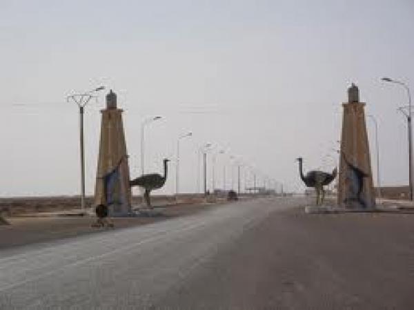 بوجدور: تلكؤ طبيبة بيطرية في أداء الواجب يجرها إلى القضاء