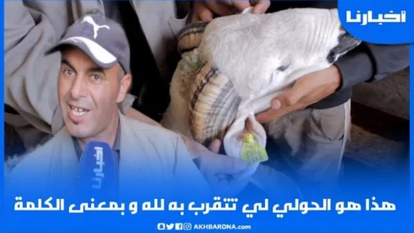 فلاح: هذا هو الحولي لي تتقرب به لله بمعنى الكلمة والمواطن خصو يرد البال من الكبش المغشوش