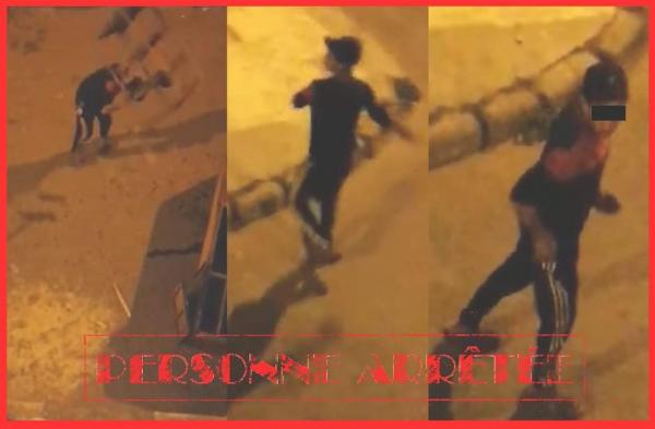 إحداث الفوضى بالشارع وإلحاق خسائر بممتلكات الغير يقود شخصا للاعتقال بآسفي