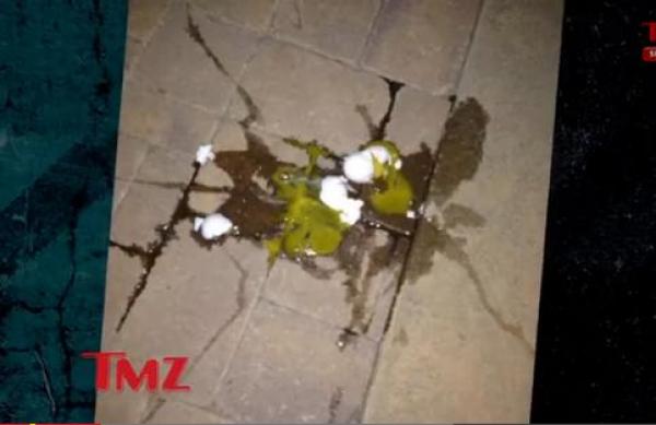 بالفيديو: جاستن بيبر يرشق جيرانه بالبيض