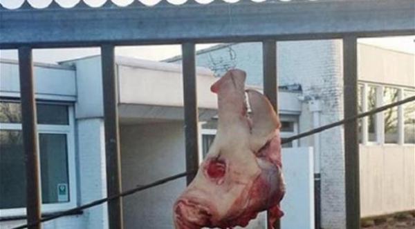 رأسا خنزيرين ودماء في موقع بناء مسجد في النمسا