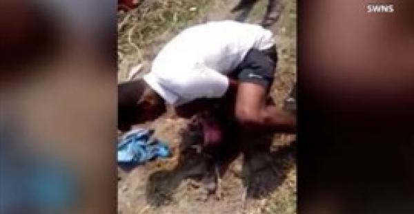 بالفيديو.. لحظة انقاذ رضيعة دفناها والديها على قيد الحياة