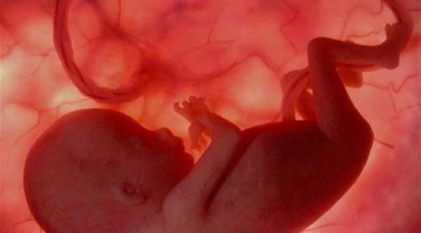 متى يبدأ الجنين سماع الأصوات المحيطة به؟