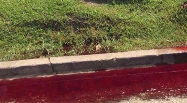 بالفيديو: دم يتسرب من دار للجنازات يحول شارعاً إلى فيلم رعب