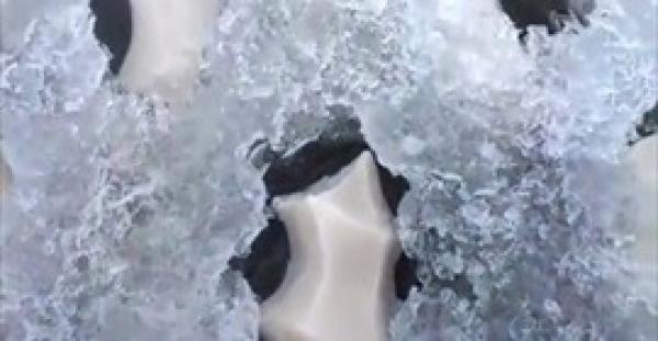بالفيديو.. ظهور بيضة غريبة وسط بحيرة متجمدة يثير ضجة على الإنترنت