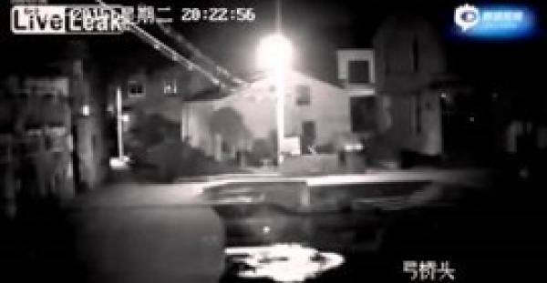 بالفيديو.. لحظة سقوط أم لطفلين في نهر بسبب انشغالها بالهاتف