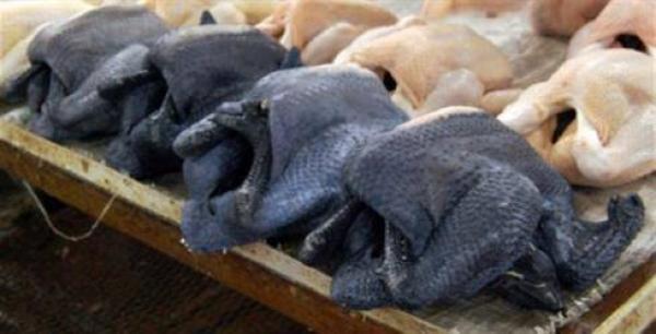 دجاج أسود اللون 'للأغنياء فقط'