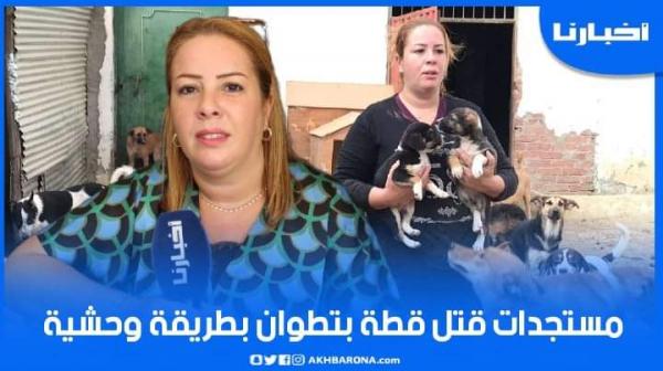 هذا ما قرره القضاء في حق قاتل قطة بتطوان وجمعية تدخل بقوة على خط القضية