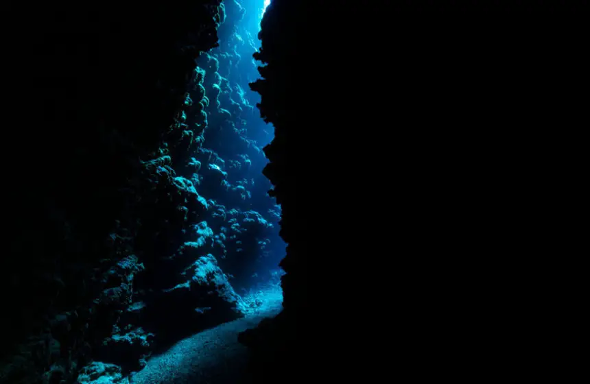 "ظلام" يكتسح محيطات العالم.. حقائق صادمة وتأثيرات غير متوقعة