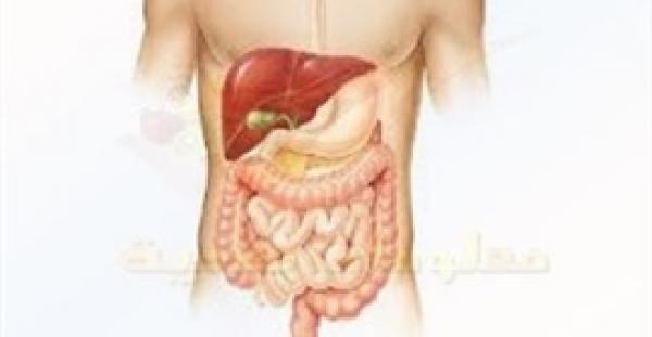بالفيديو.. 5 أخطاء يرتكبها الصائم تتسبب في تدمير الجهاز الهضمي