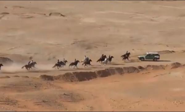 مؤلم..دركي جزائري يدخل حلبة السباق ليصدم مجموعة من الأحصنة