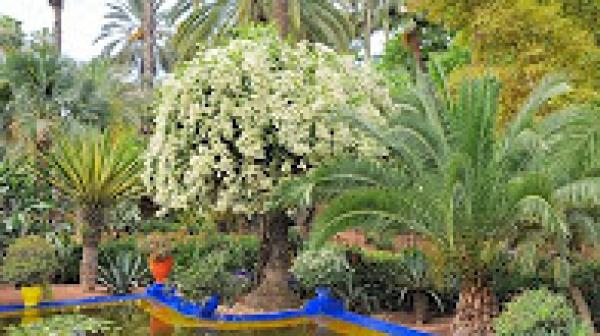 الحدائق العجيبة في مدينة سلا