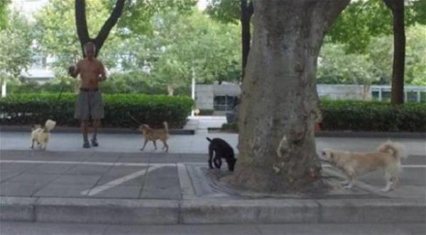 بالصور: صيني يعيش في الشارع ليعتني بالكلاب الضالة