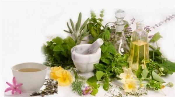 أعشاب طبيعية تعالج مشاكل المعدة