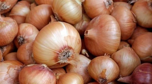 ما هي الأطعمة المنصوح بها لتنظيف الكلي ؟